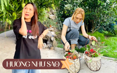 Thú vui đặc biệt của Mỹ Tâm: Trong nhà nữ ca sĩ có gì mà mới "flex nhẹ" đã khiến dân tình trầm trồ?