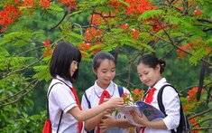 Thủ tướng chỉ đạo 3 vấn đề nóng trong xem bong da truc tiep nhanh nhat