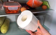 Người thông minh bỏ 1 cuộn giấy vào tủ lạnh, tôi làm theo rồi ngỡ ngàng như tìm được "kho báu"