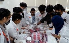 Trường Đại học Nam Cần Thơ mở rộng đào tạo các ngành học 100% tiếng Anh – Đáp ứng nhu cầu hội nhập quốc tế