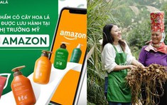 Tuổi trẻ xông pha, nông sản vươn xa: Cỏ Cây Hoa Lá đổ bộ Amazon