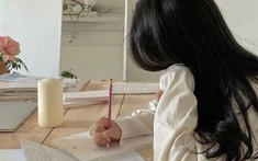 Em chồng tự ý nghỉ việc vì cãi nhau với cấp trên nhưng mẹ chồng tôi lại đùng đùng đến công ty người ta làm loạn