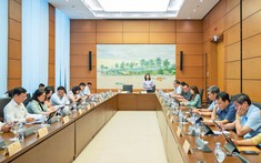 ĐBQH đề nghị tăng mạnh chế tài hình sự, xử nặng tội hi88.com là gì, buôn bán hàng giả