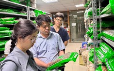 Bộ Y tế tổ chức các đoàn kiểm tra đột xuất trong tháng cao điểm chống hàng giả, gian lận trong lĩnh vực y tế
