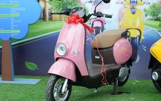 Xe máy điện VinFast giá từ 12 triệu đồng, tất cả khách hàng là đối tác thân thiết