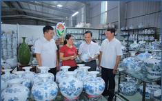 Ninh Bình phát triển nông nghiệp theo hướng bền vững và xây dựng chương trình mỗi xã một sản phẩm Ocop