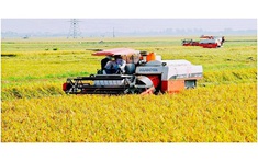 Ninh Bình tập hi88. com phát triển sản xuất, nâng cao thu nhập cho người dân hướng đến mục tiêu giảm nghèo và an sinh xã hội