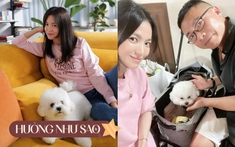 Độc thân không con cái, nhưng hi88 hi880 lại chi gần 10 triệu đồng để mua xe đẩy cho cún cưng, ai hiểu cũng thấy thật đáng giá