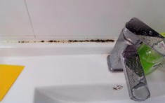 Cảnh báo: 4 vật dụng trong nhà này là "kho formaldehyde", cả nhà "trúng độc" mà không biết