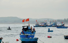 Quảng Nam tăng tốc chống khai thác IUU, sẵn sàng đón Đoàn thanh tra EC lần thứ 5