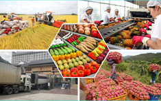 Bảo đảm sản xuất, tiêu thụ, xuất khẩu nông lâm thủy sản trong bối cảnh biến động thương mại toàn cầu