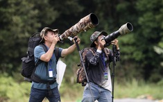 Vietnam BirdRace 2025: Những cánh chim kết nối thế giới từ Bidoup – Núi Bà