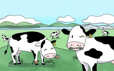 Flex nhẹ cuộc sống “chanh sả” tại hi88 những cô bò sữa TH true MILK