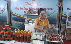 Tỉnh có vựa trái cây lớn nhất miền Bắc tổ chức Tuần lễ Mận và nông sản, thực phẩm an toàn năm 2025