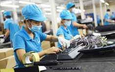 Bức tranh đa màu thị trường lao động 2025