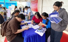 Ngày hội việc làm 2025: Cơ hội việc làm cho thanh niên