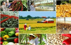 Nông thôn mới – thị trường lao động mới: Khi người trẻ không còn rời quê để kiếm sống