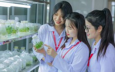Điều chỉnh chính sách hỗ trợ và chế độ làm việc cho giáo viên, sinh viên sư phạm 

