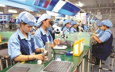 Từ khủng hoảng việc làm toàn cầu đến sức chống chịu thị trường lao động Việt Nam