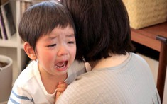 Nhờ bố chồng trông con 3 tiếng, ông mải xem livestream đá gà đến quên luôn cháu ngoài đường