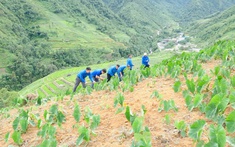 Chỉ trong 6 tháng đầu năm, huyện Trạm Tấu đã hoàn thành vượt chỉ tiêu kết nạp đảng viên mới của cả năm