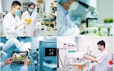 Hướng dẫn sắp xếp, tổ chức lại các đơn vị sự nghiệp công lập lĩnh vực KH&CN