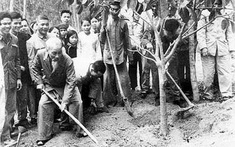 Tư tưởng Hồ Chí Minh về bảo vệ môi trường tự nhiên: Giá trị lý luận, thực tiễn và định hướng vận dụng trong kỷ nguyên mới