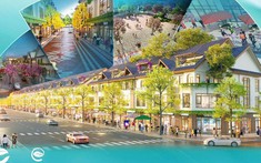 Giá trị gia tăng từ đô thị đồng bộ
