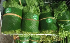 Phát triển nông nghiệp số là yêu cầu tất yếu