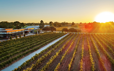 Thưởng thức rượu vang hảo hạng tại thung lũng Swan, Tây Australia