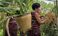 Công bố thêm 11 di sản văn hóa phi vật thể Quốc gia