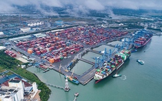 Nghiên cứu thành lập tổ chức phối hợp liên ngành tại địa phương về phát triển bền vững kinh tế biển
