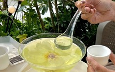 Bác sĩ gật gù khen: 5 loại đồ uống rẻ bèo mà cực “xịn” trong ngăn ngừa xem bong da truc tiep cup c1