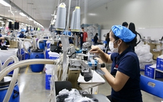 Chính sách bảo hiểm thất nghiệp điểm tựa cho người lao động bị thất nghiệp