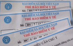 Tp.Hồ Chí Minh: Chính sách hỗ trợ đóng BHYT tại khu vực Bà Rịa - Vũng Tàu và Bình Dương (cũ) tiếp tục được duy trì cho đến khi có Nghị quyết mới