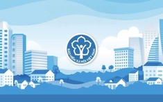 Chính thức đổi tên BHXH khu vực thành BHXH cấp tỉnh, thành phố trực thuộc Trung ương: Bước đi chiến lược trong sắp xếp bộ máy tinh gọn, hiệu quả