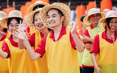 Perfetti Van Melle được vinh danh “Nơi làm việc tuyệt vời” 4 năm liên tiếp