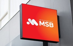 MSB công bố khung tài chính bền vững