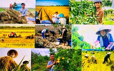 Nguyên tắc phân bổ vốn thực hiện Chương trình mục tiêu quốc gia giảm nghèo bền vững giai đoạn 2021 – 2025