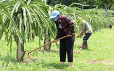 Sơn La triển khai hiệu quả nguồn vốn từ các chương trình mục tiêu Quốc gia