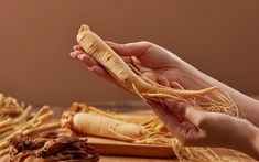 COFFEECELL – Sự kết hợp hoàn hảo từ đồ uống thường ngày và nhân sâm