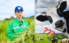 Bố ơi mình đi đâu thế? tập 10: Bị "gài" cắt 100kg cỏ, thu hoạch 20 tấn ngô, Neko Lê đòi cho bò ăn kiêng!
