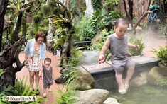 Check quán cafe "vibe" rừng nhiệt đới, rộng như khu sinh thái giữa Hải Phòng: Con chơi cả ngày không chán, mẹ "hết hơi" nhưng có đầy ảnh chill