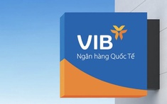 VIB: Lợi nhuận 6 tháng hơn 5.000 tỷ đồng, tổng tài sản vượt mốc nửa triệu tỷ, tăng trưởng tín dụng 10%