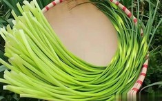 5 loại k+ truc tiep bong da quả mùa hè nên tránh, ngay cả người bán cũng lắc đầu từ chối