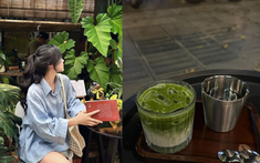 Vợ nha cai hi88 thu nhập gần 185 triệu/tháng vẫn cãi nhau vì ly matcha latte hơn 100 nghìn