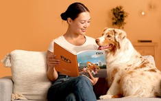 Ứng dụng FWD phiên bản mới: Quản lý bảo hiểm dễ dàng như lướt mạng xã hội