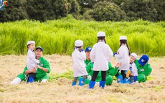 Tập 10 “Bố ơi, mình đi đâu thế?”: Chuyến đi “xanh mát” tại Trang trại hữu cơ TH khiến các bố con mê tít
