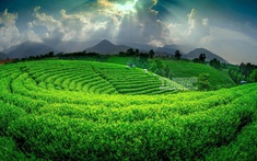 Khi hai mặt nước soi chung bầu trời