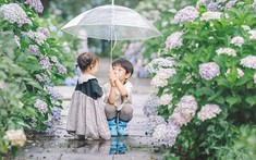 Dấu hiệu của 1 em bé đến để chữa lành cho cả đại gia đình